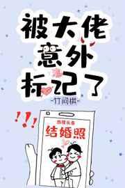 总裁意外标记了txt资源