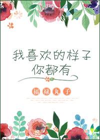 我喜欢的样子你都有大结局