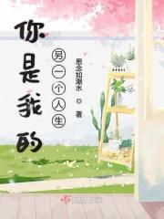 你是另一个我歌词含义