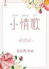 小情歌是什么调