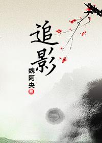 追影猫官方