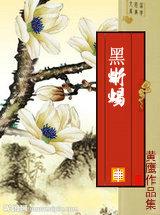 黑蜥蜴路亚竿咋样