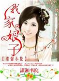 我家娘子不好惹剧照
