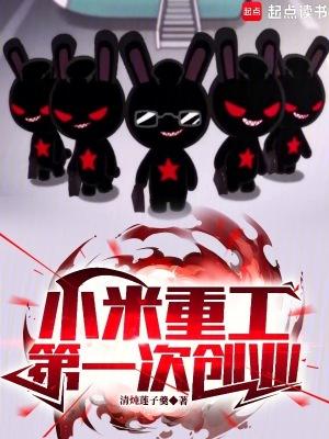 小米重工第一次创业txt