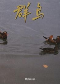 群鸟举步游戏在哪玩