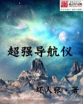 专业导航仪品牌哪个好