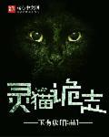 灵猫攻略