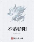月落骄阳评价