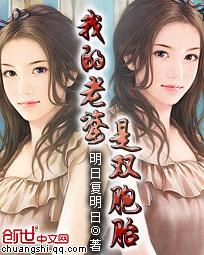 我的老婆是双胞胎几个女主